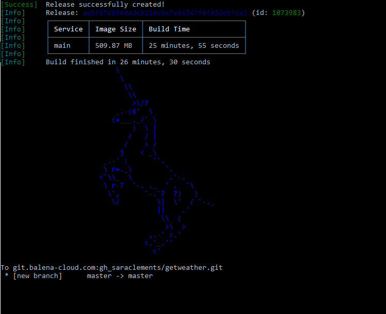 Successful Balena Unicorn Picture in Logs